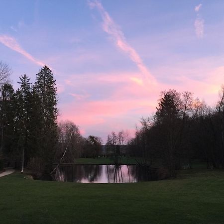Gevrolles Chateau Du Breuil Bed & Breakfast エクステリア 写真